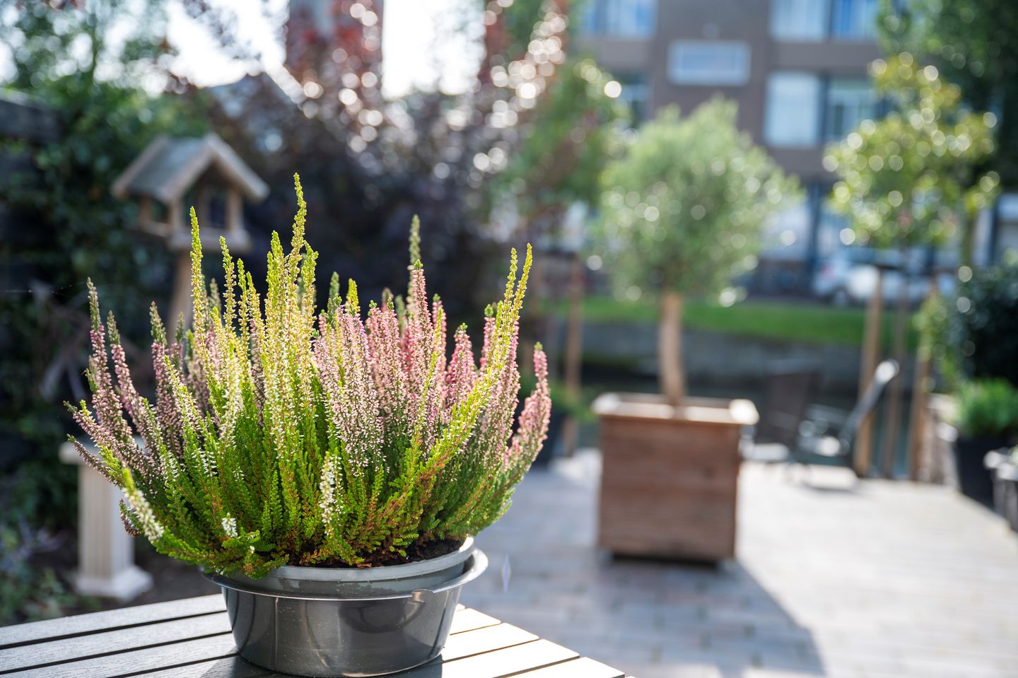 Foto 20 van Pottenbakkersstraat 8