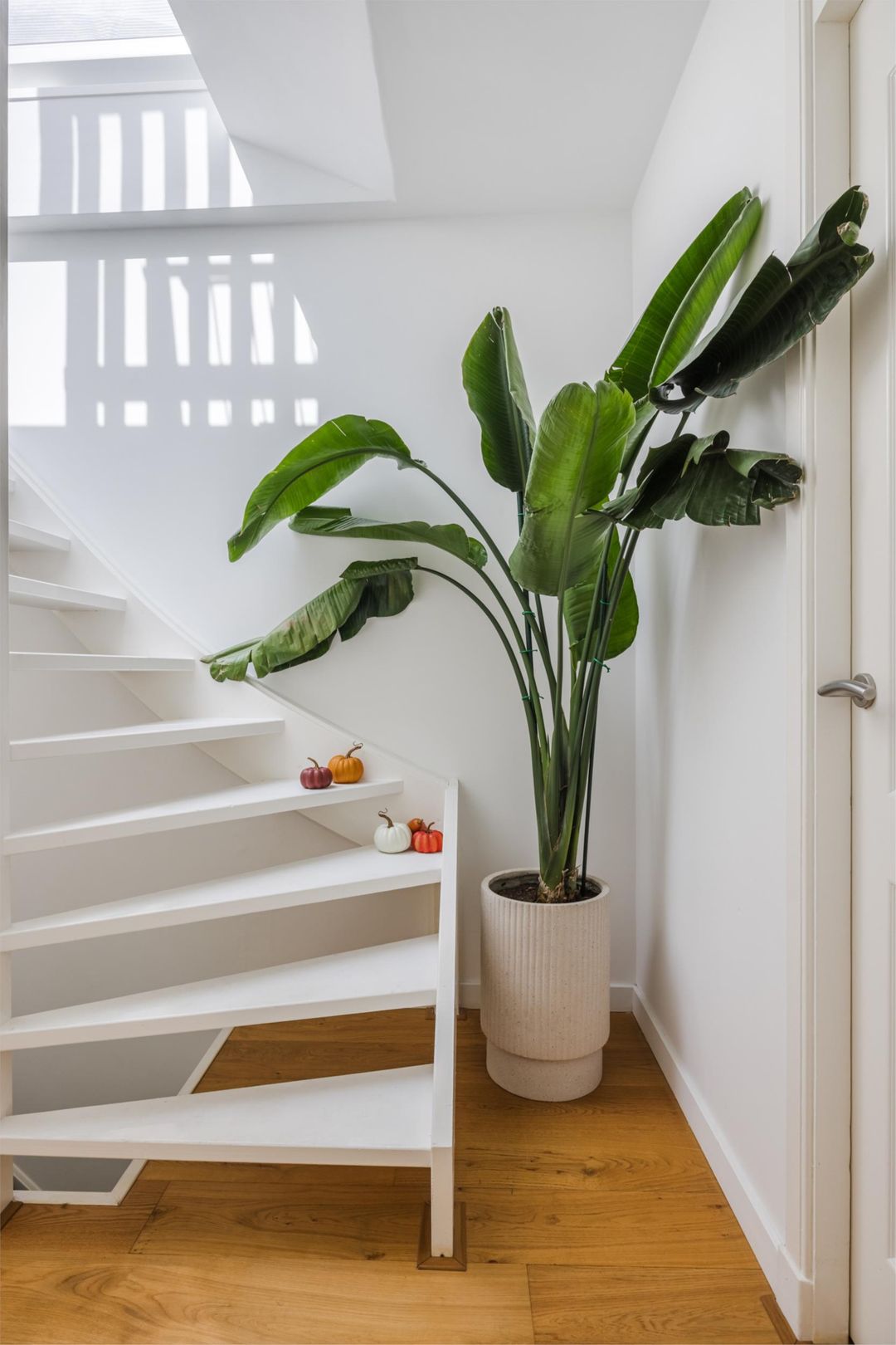 Foto 41 van Prinses Margrietlaan 42-B