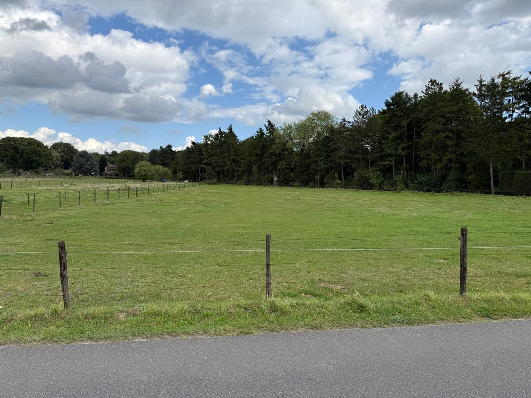 Foto 1 van Buissteeg hoek Oude Diedenweg