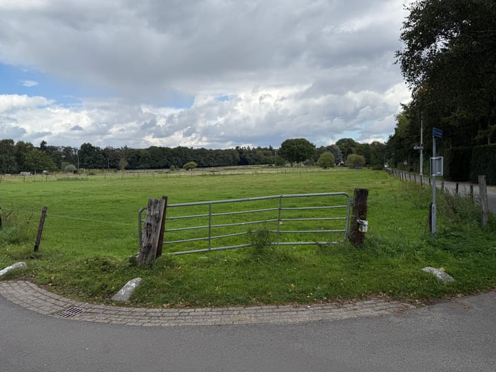 Foto 2 van Buissteeg hoek Oude Diedenweg