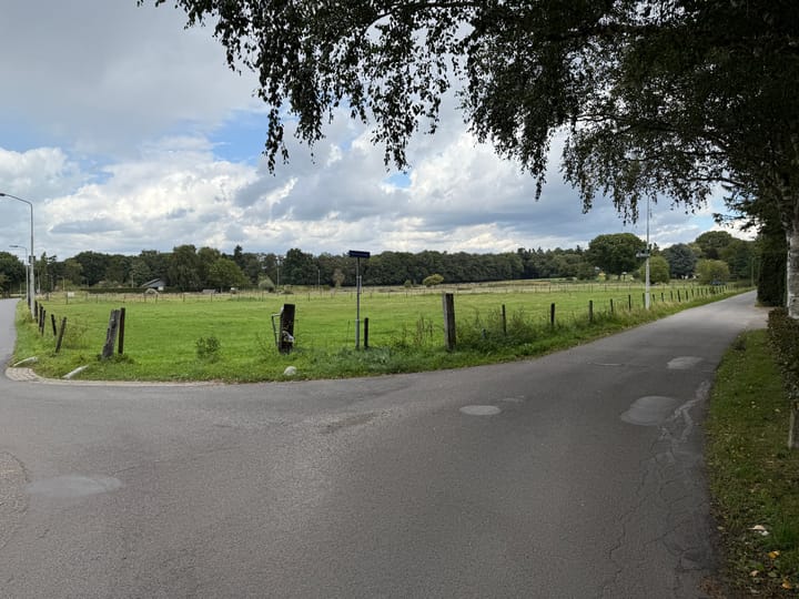 Foto 5 van Buissteeg hoek Oude Diedenweg