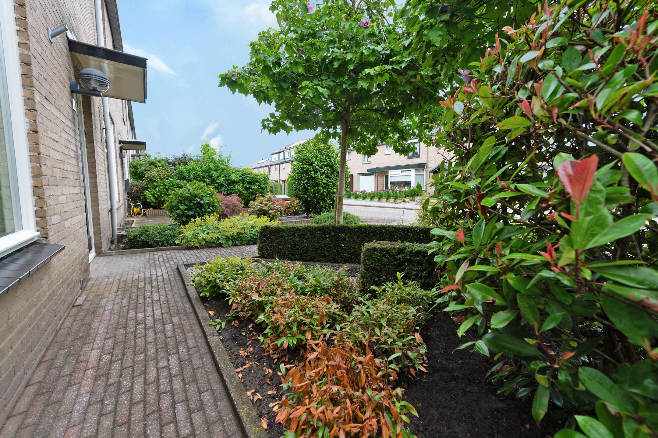 Photo 9 of Cornelis Sminklaan 1