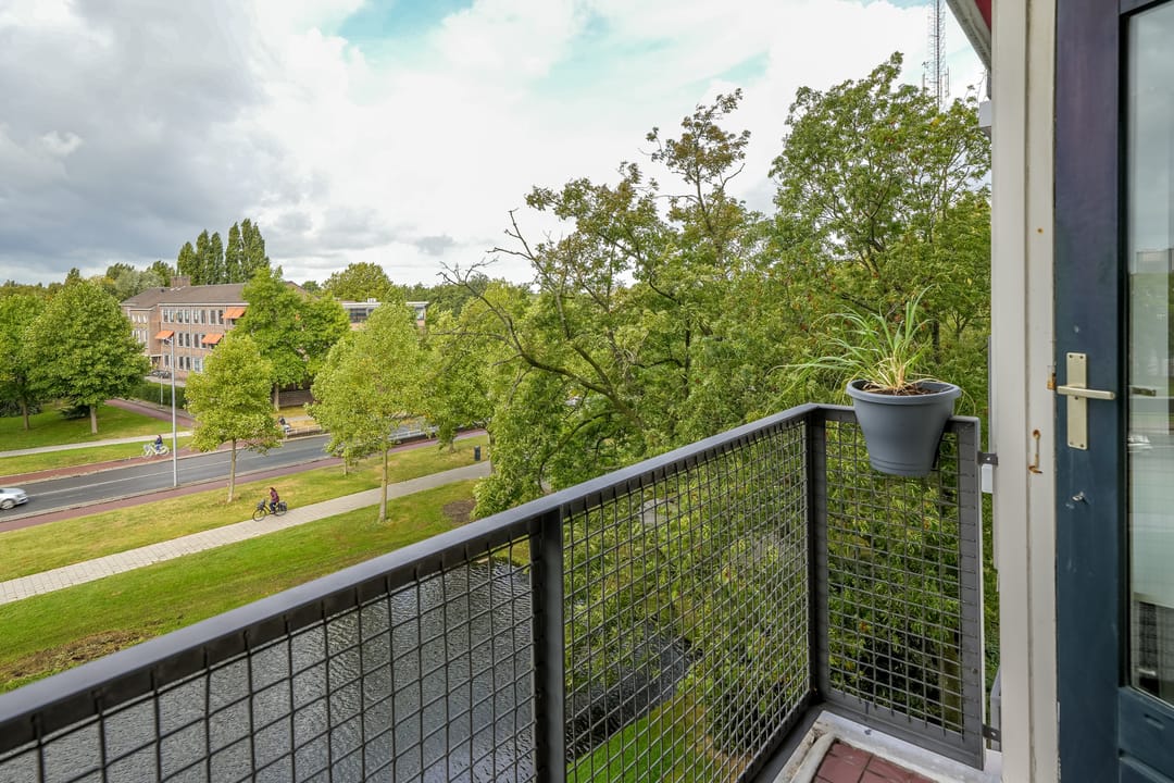 Foto 23 van Suze Groeneweglaan 135