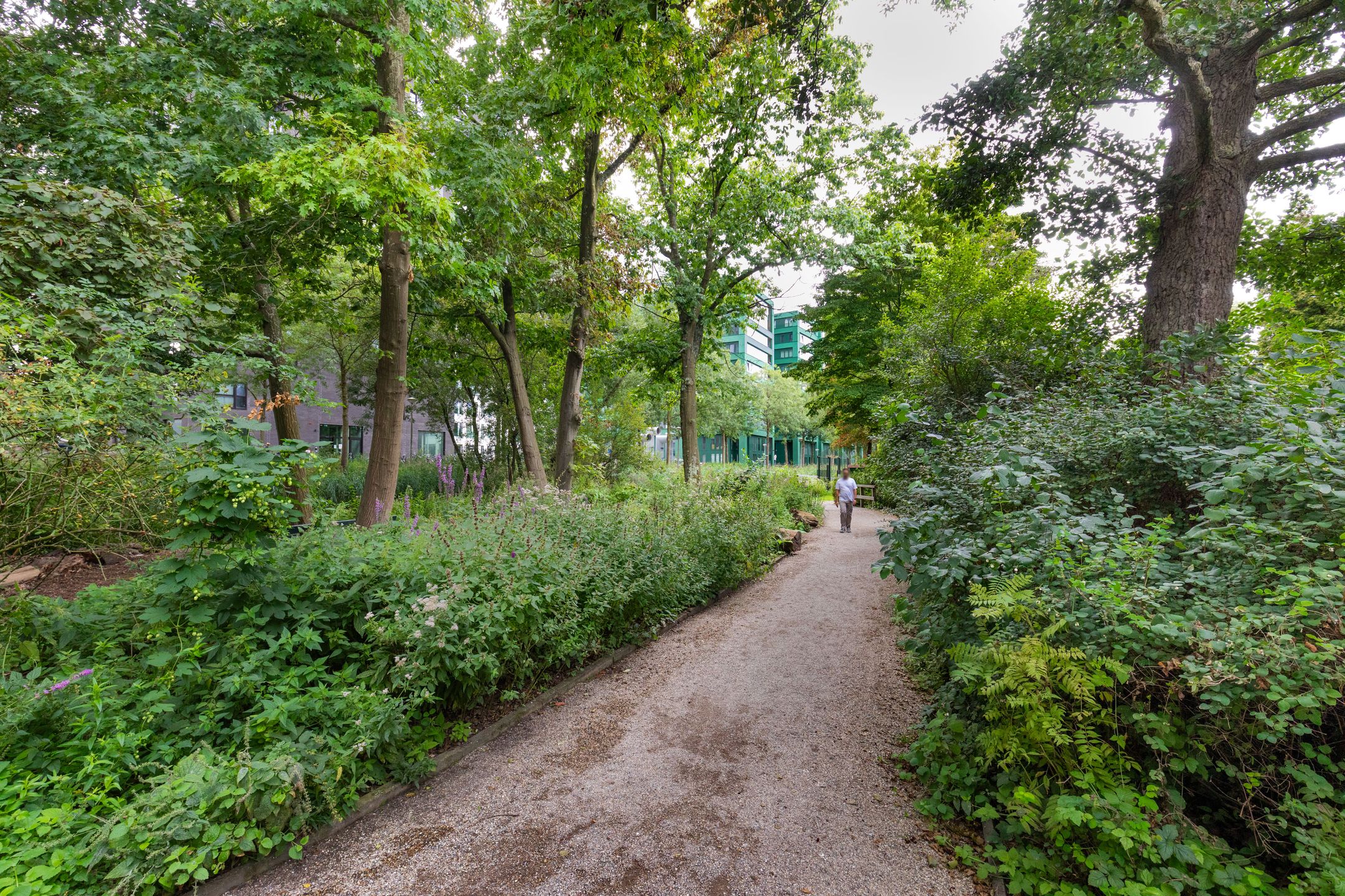 Foto 24 van Doggersbankstraat 28-3