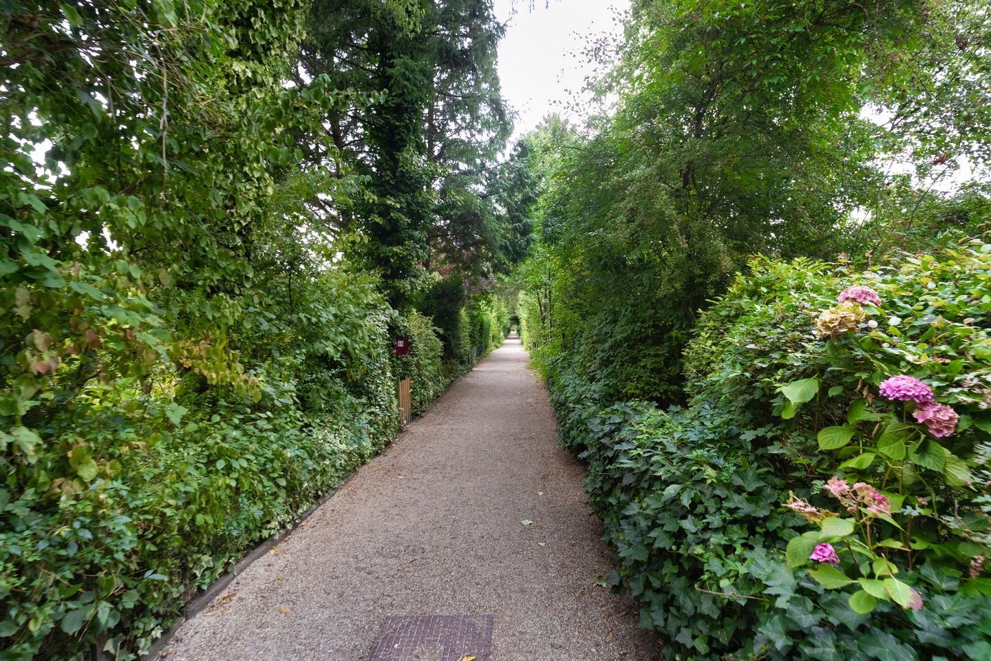 Foto 25 van Doggersbankstraat 28-3