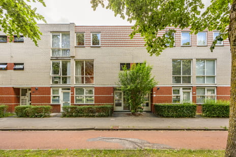 undefined main image