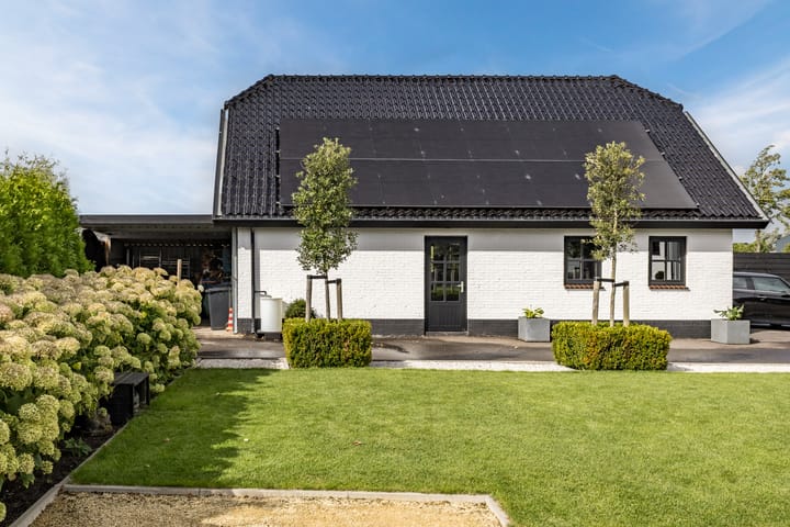 Photo 53 of Halve Raak 49