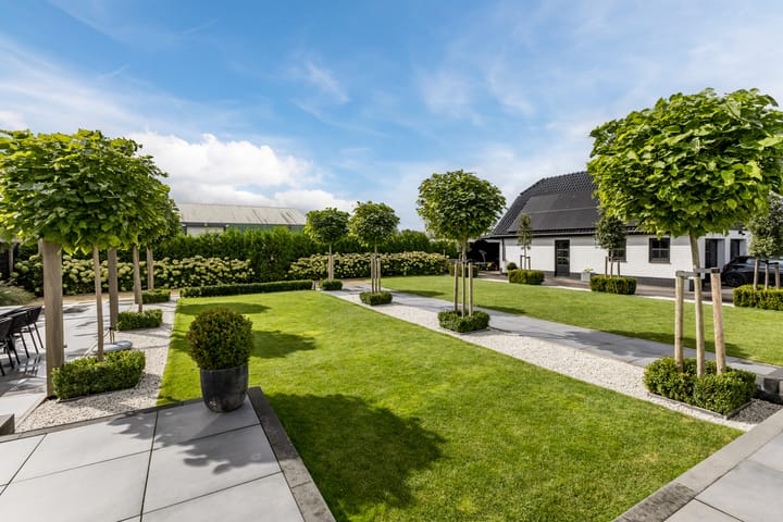 Photo 54 of Halve Raak 49