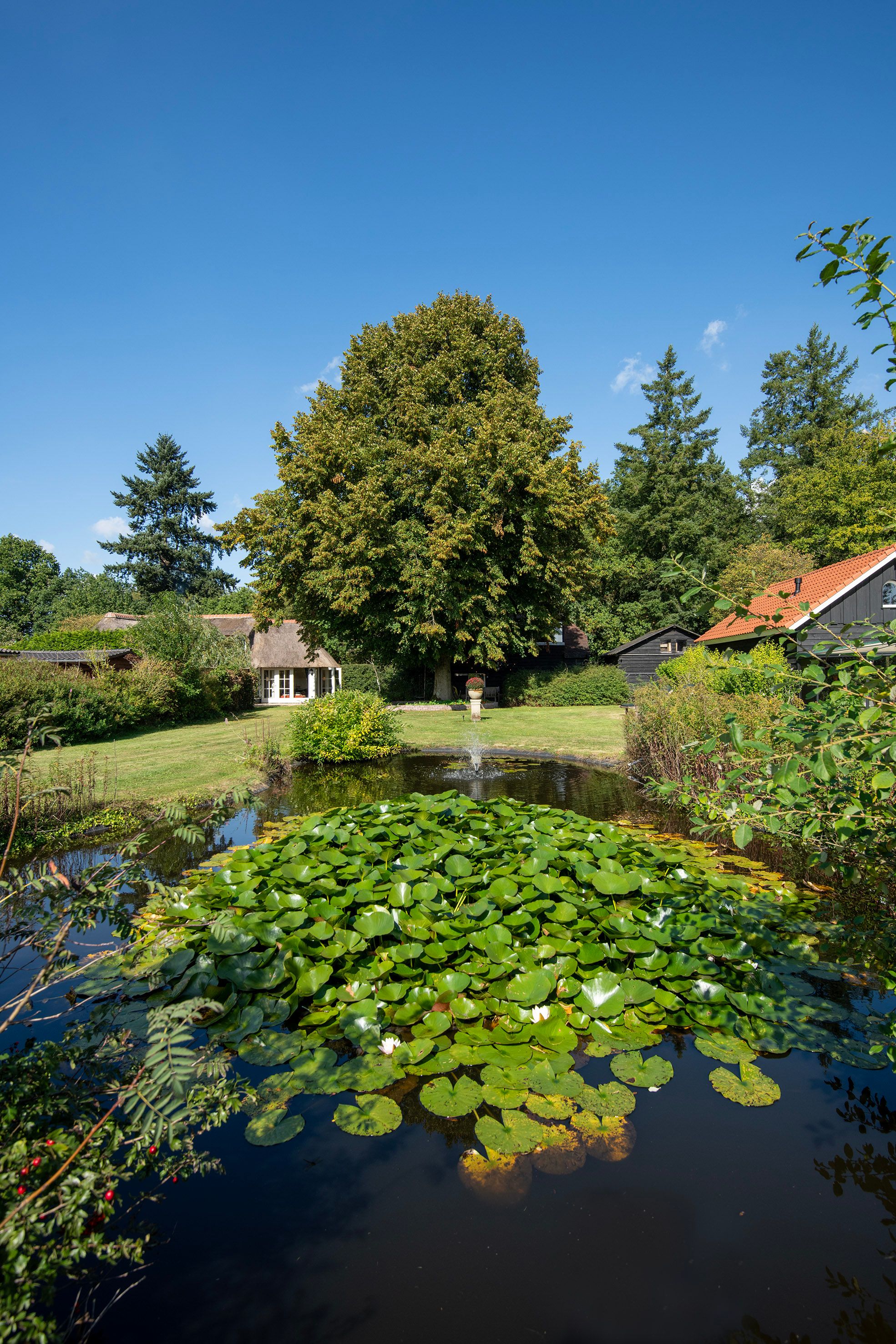 Foto 39 van Milligerweg 4