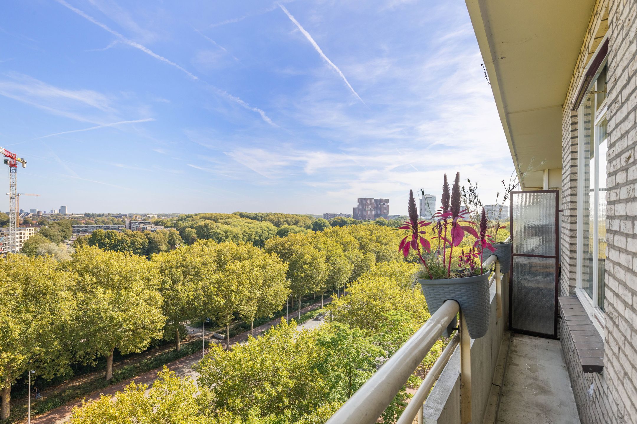 Foto 3 van Livingstonelaan 208