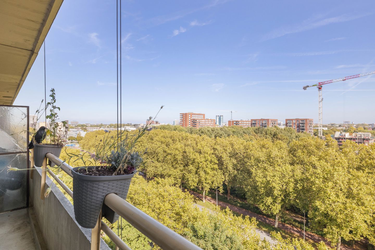 Foto 25 van Livingstonelaan 208