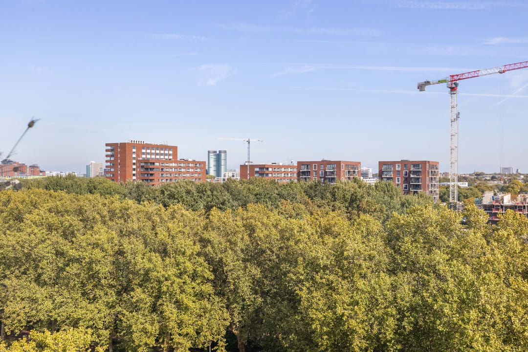 Foto 26 van Livingstonelaan 208