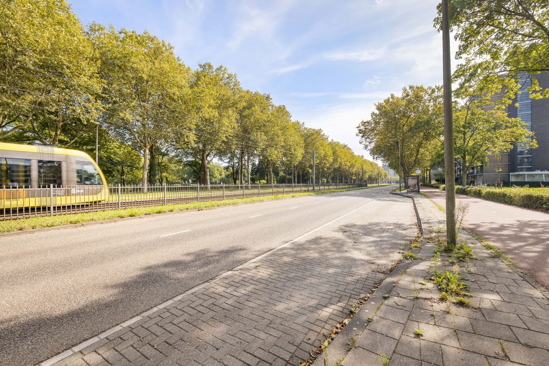 Foto 28 van Livingstonelaan 208