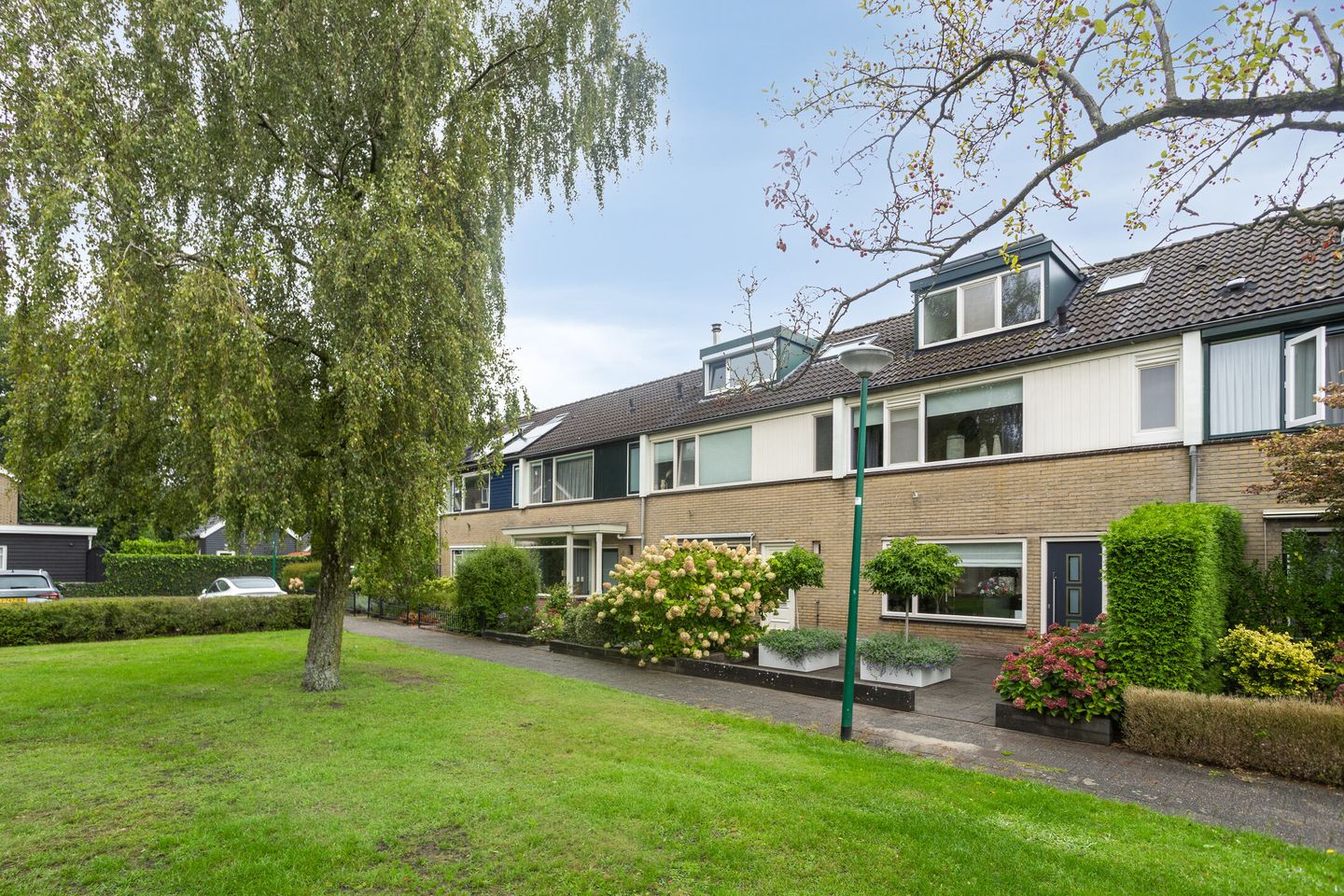 Foto 34 van Dickerijst 4