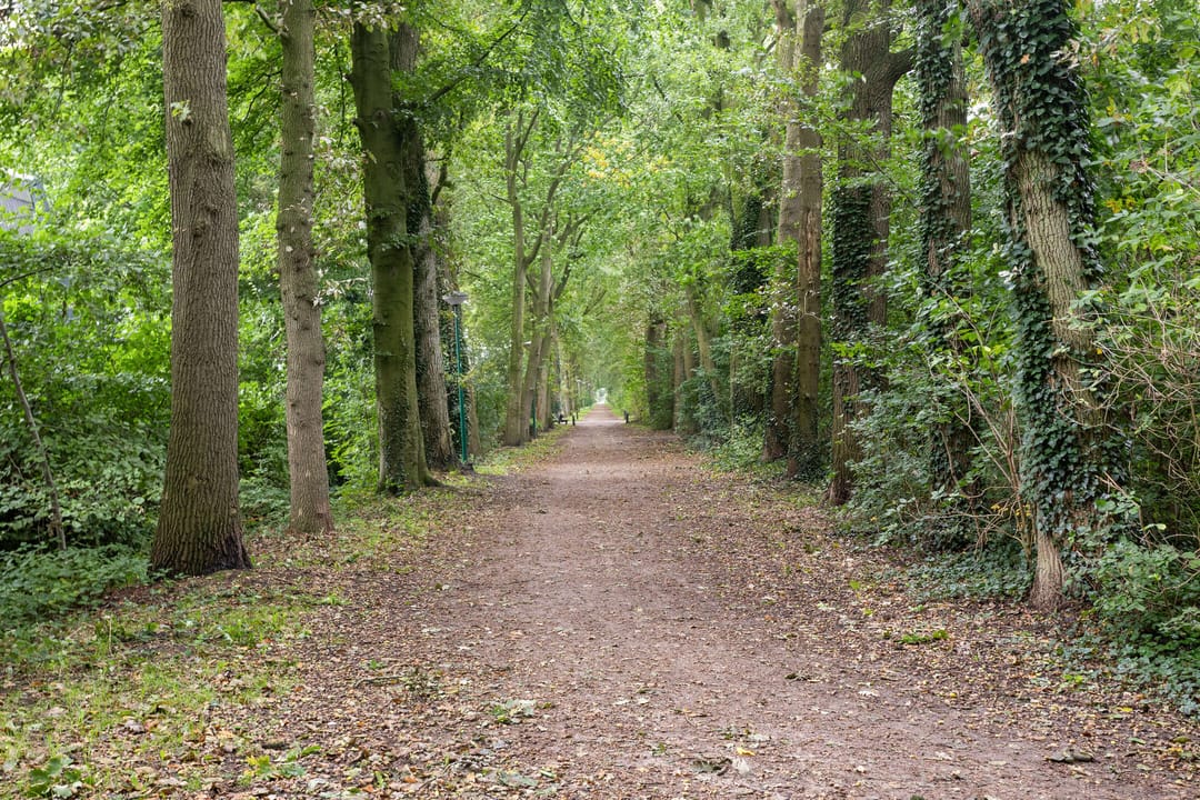 Foto 38 van Dickerijst 4