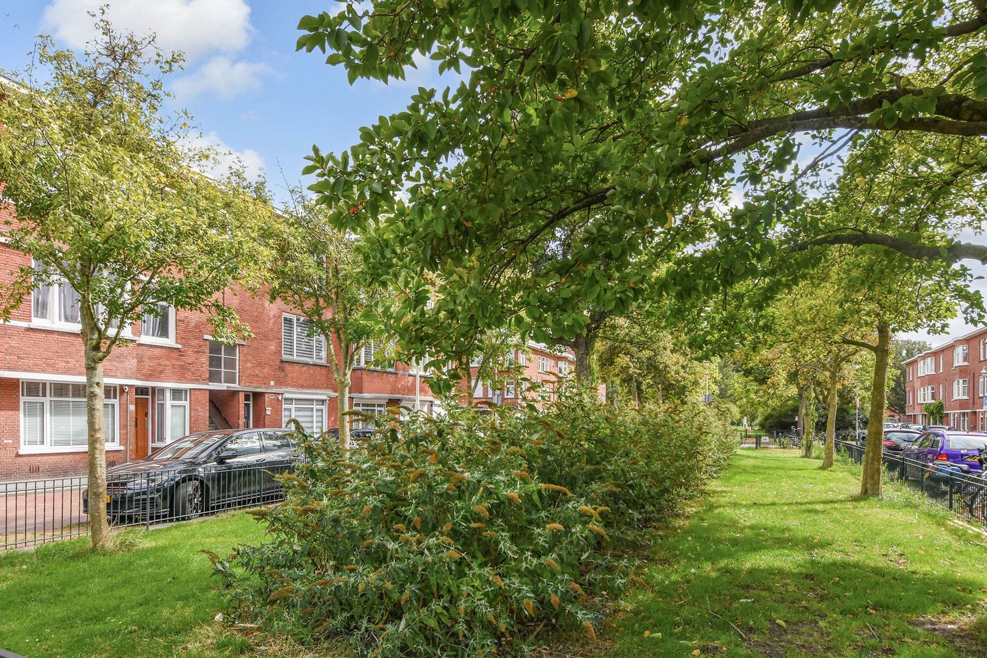 Foto 40 van Elise van Calcarstraat 43