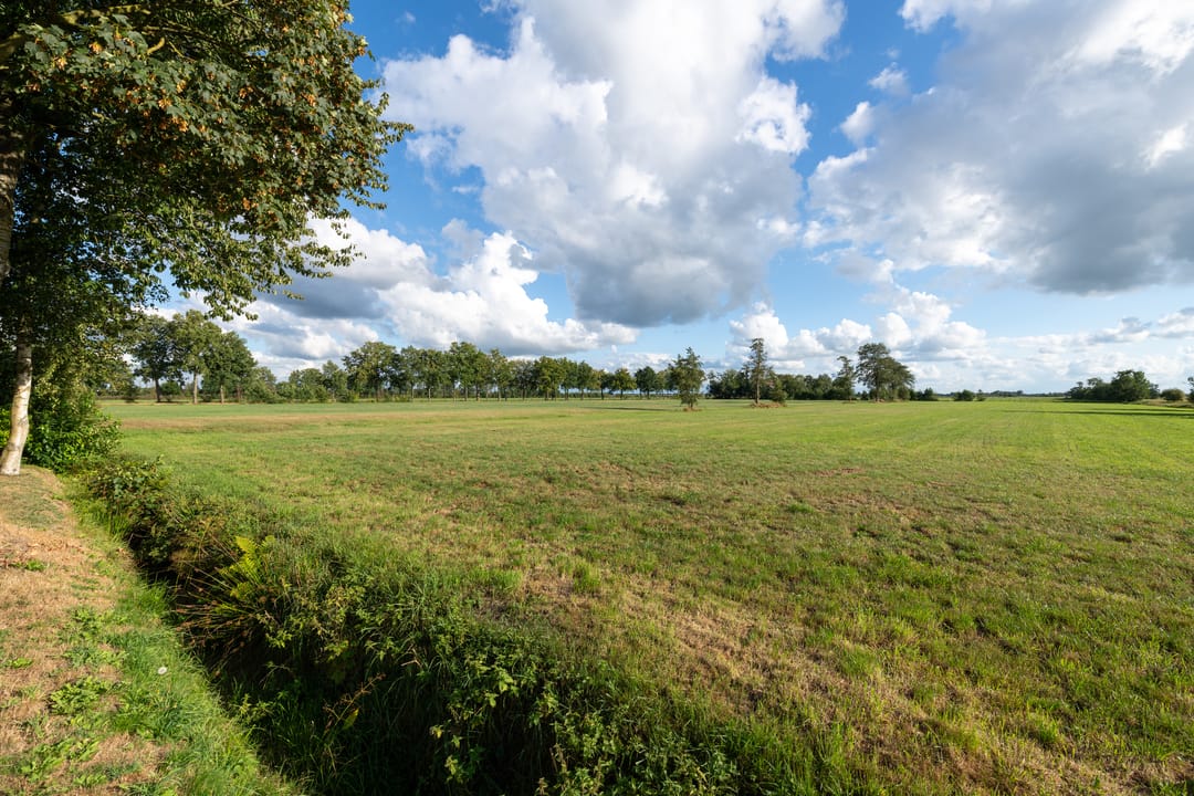 Foto 88 van De Geasten 10