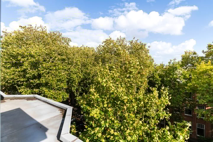 Foto 40 van Graaf Florisstraat 33-A03