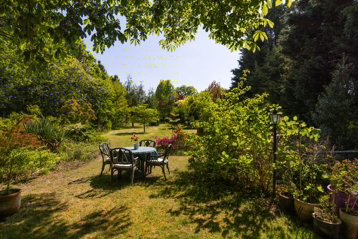 Foto 58 van Margrietstraat 45