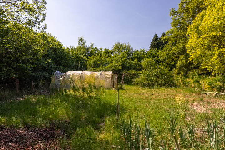 Foto 63 van Margrietstraat 45