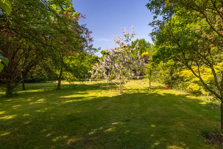 Foto 65 van Margrietstraat 45