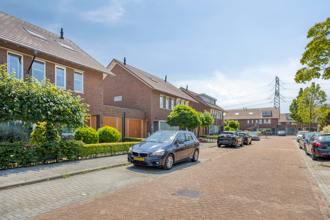 Foto 7 van Kleefkruid 16