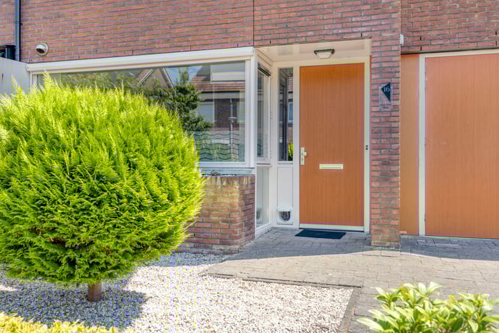 Foto 8 van Kleefkruid 16