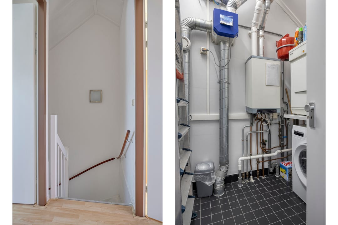 Foto 32 van Kleefkruid 16