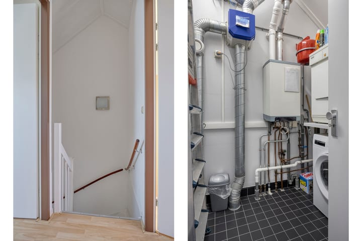 Foto 32 van Kleefkruid 16