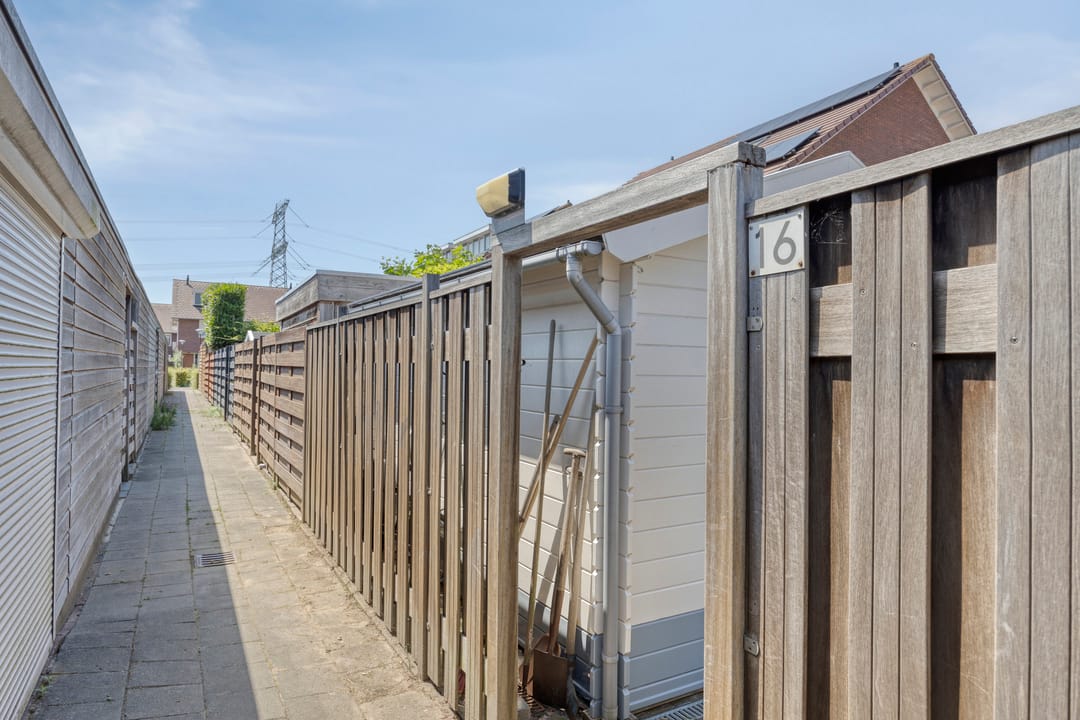 Foto 41 van Kleefkruid 16