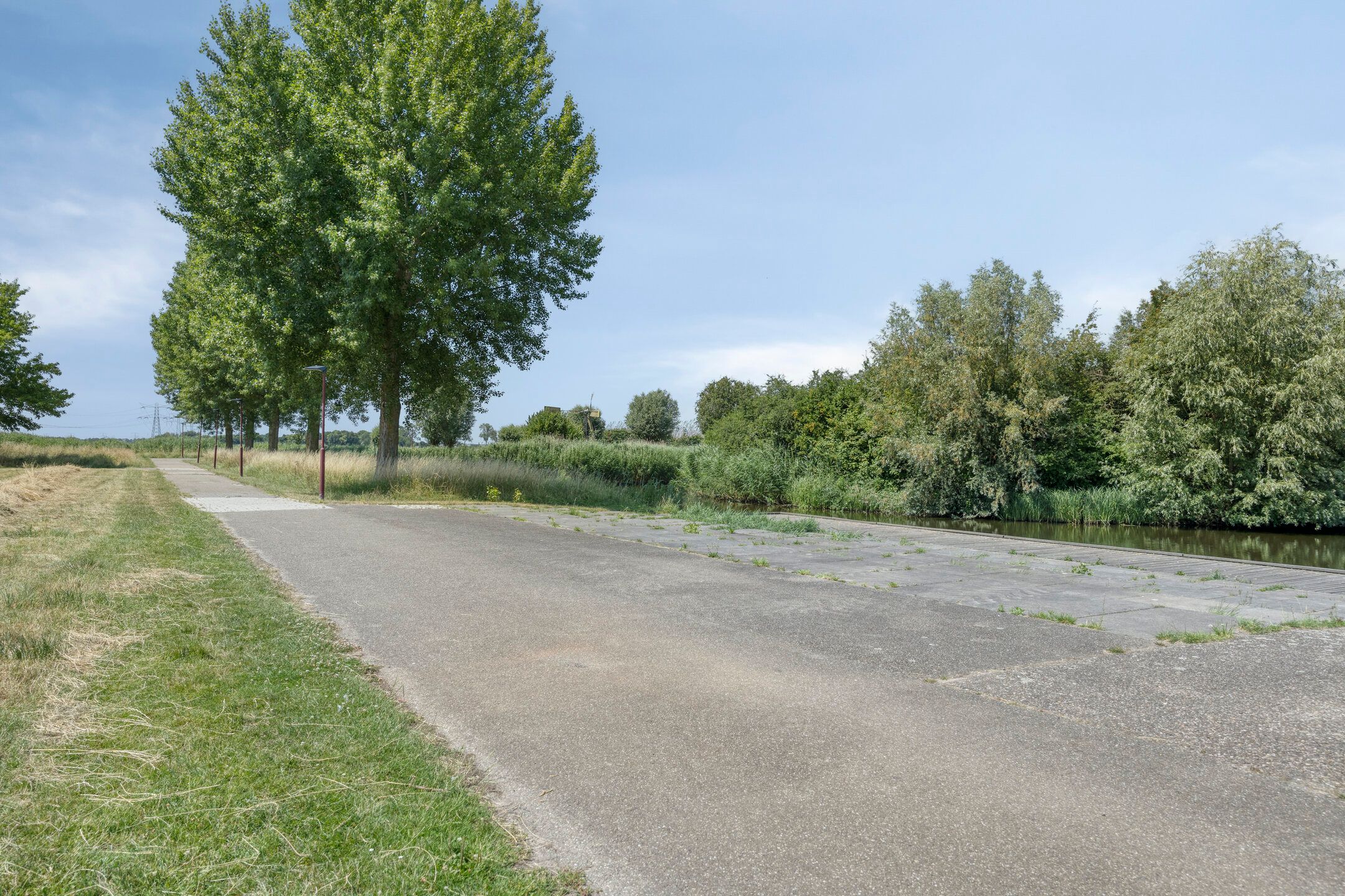 Foto 45 van Kleefkruid 16