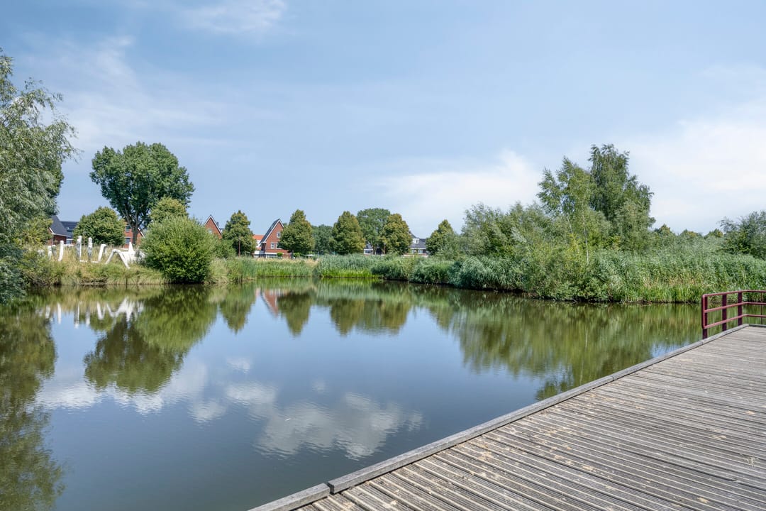 Foto 46 van Kleefkruid 16