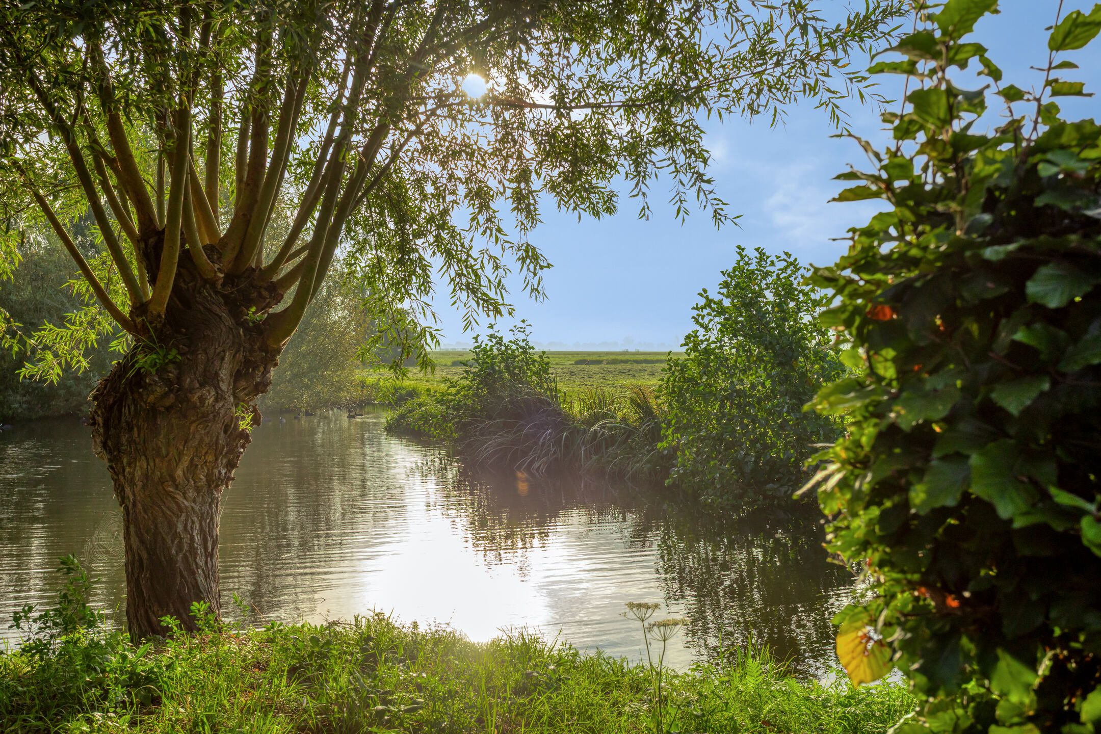 Foto 36 van Zuidzijdseweg 146