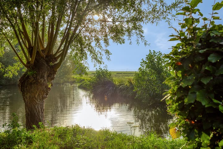 Photo 36 of Zuidzijdseweg 146