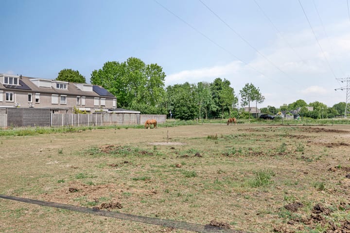 Foto 37 van Pauwoog 16