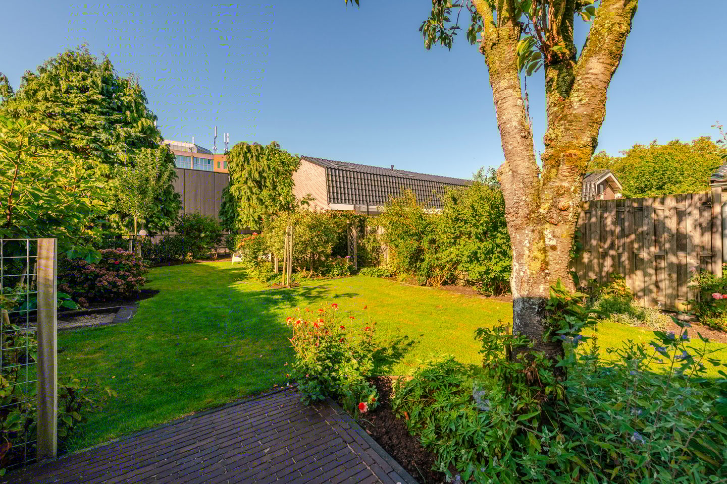 Foto 34 van Schoudermantel 14