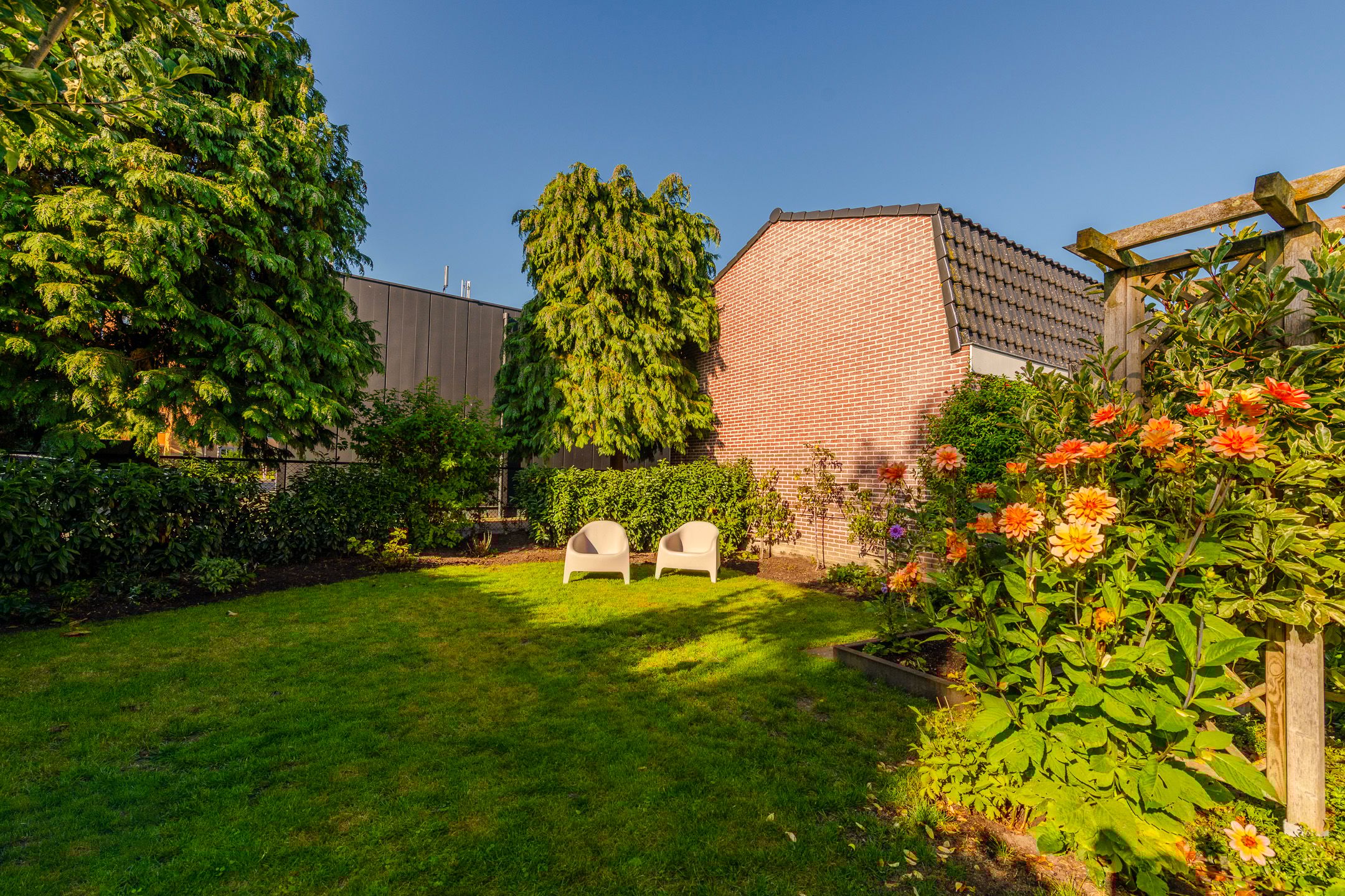 Foto 36 van Schoudermantel 14