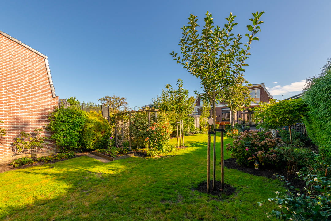 Foto 37 van Schoudermantel 14