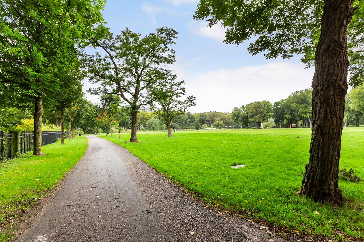 Foto 34 van Afrikalaan 47