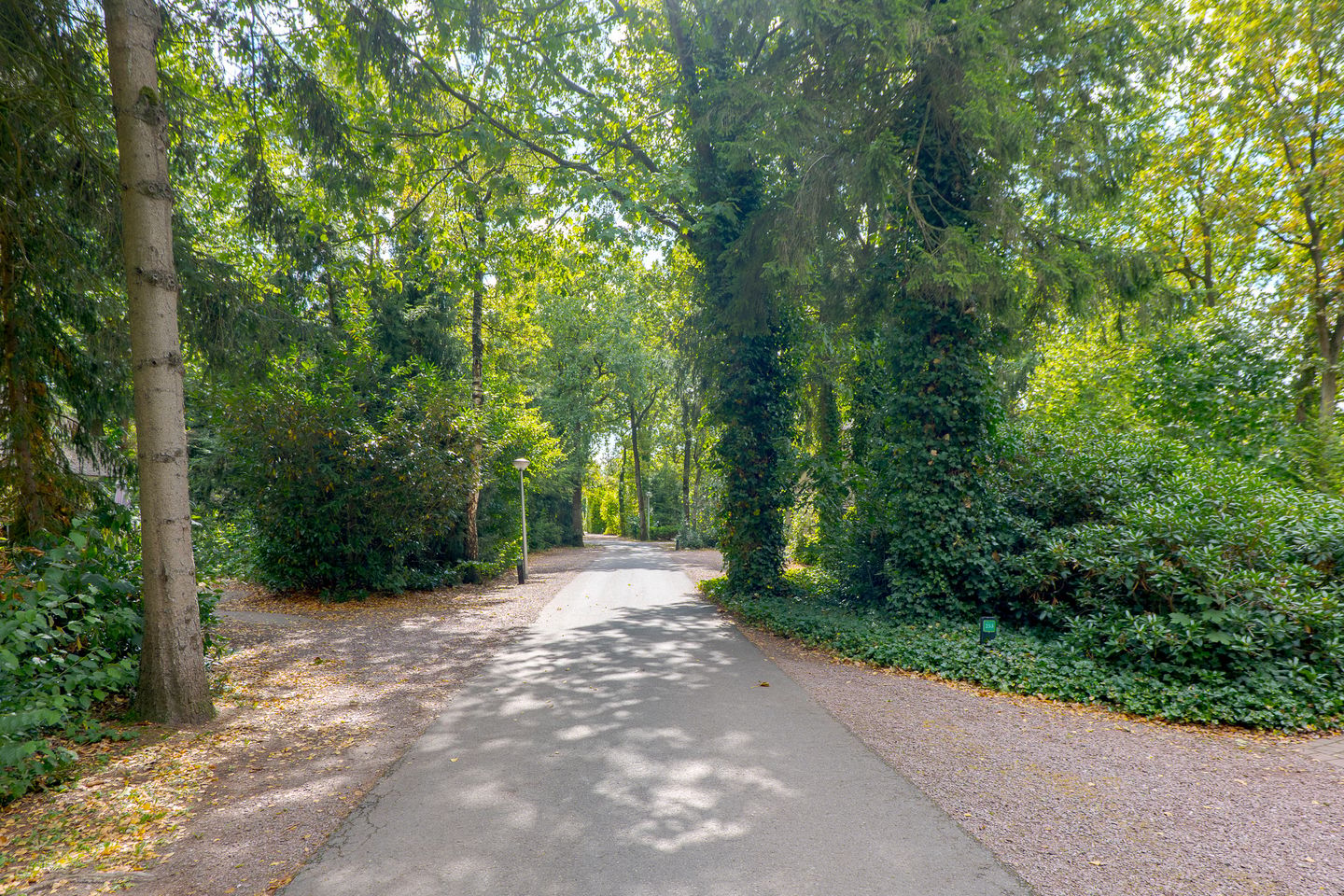 Foto 4 van Buinerweg 8-253