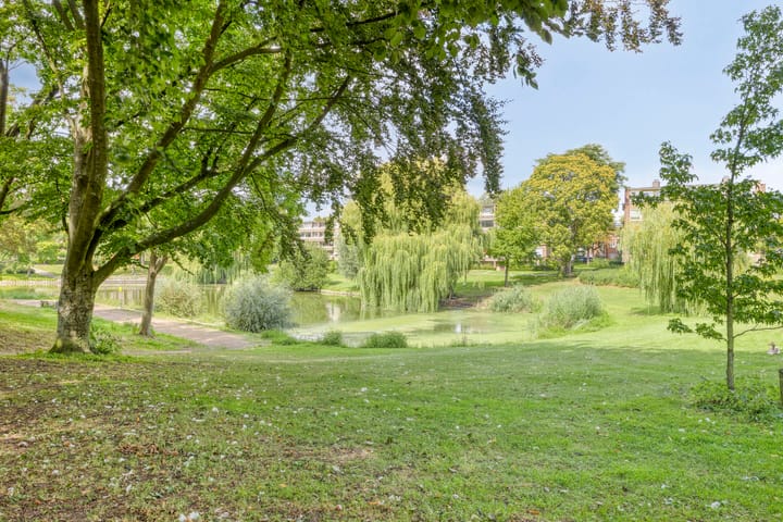 Foto 27 van Pieter de Hooghstraat 24