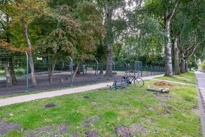 Foto 42 van Foswerd 108