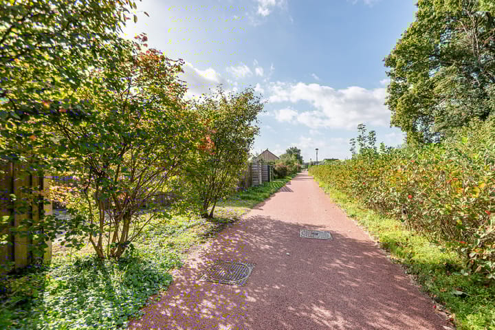 Foto 36 van Mezenpad 124