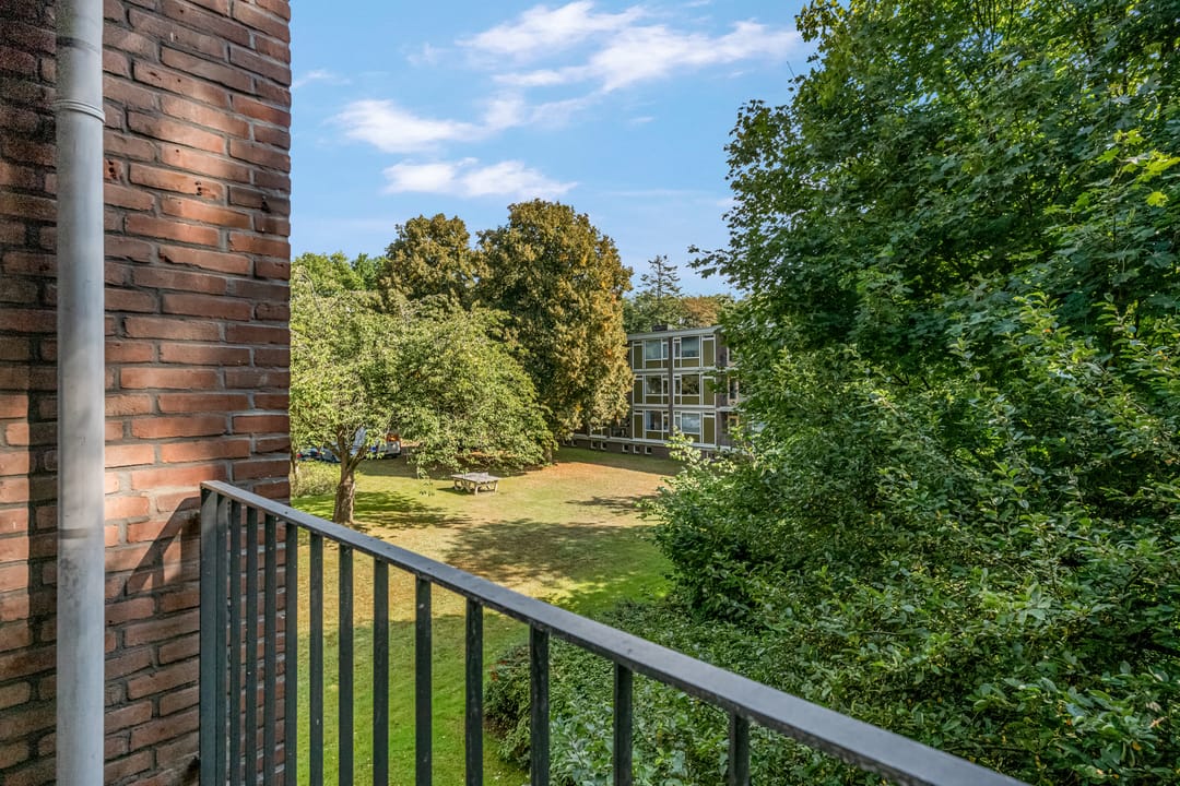 Foto 23 van De Zoom 17