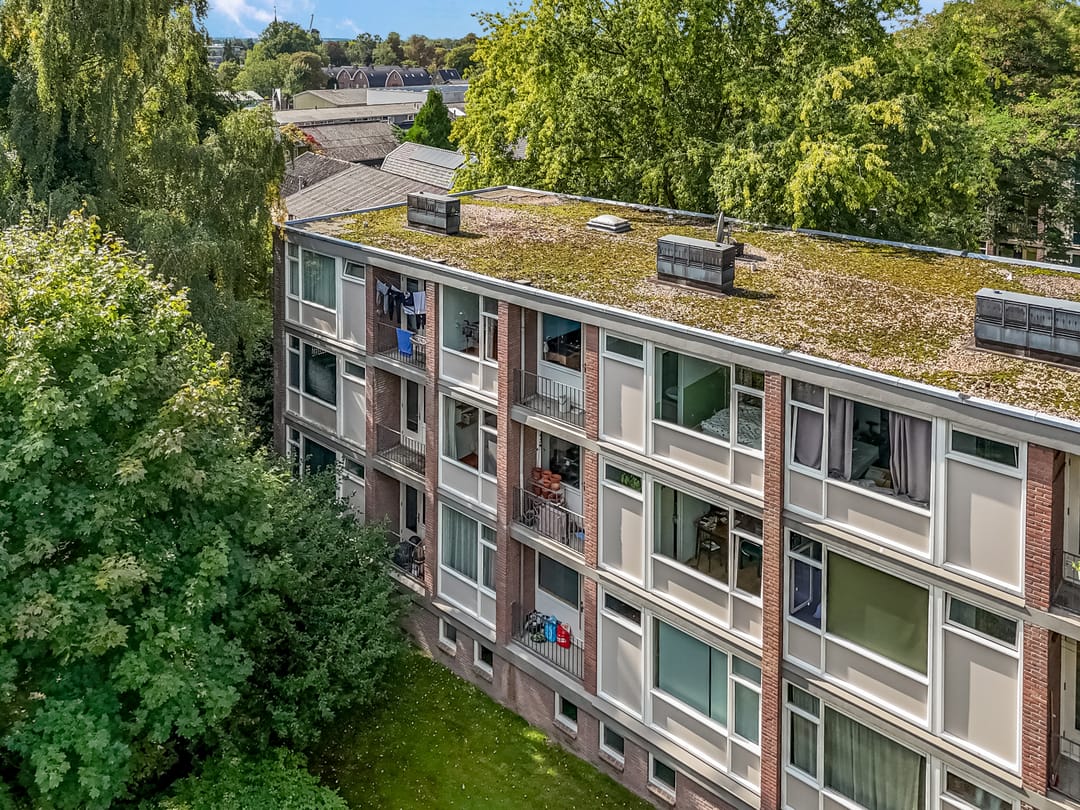 Foto 37 van De Zoom 17