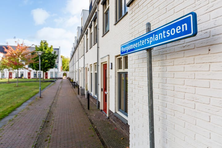 Foto 8 van Burgemeestersplantsoen 10