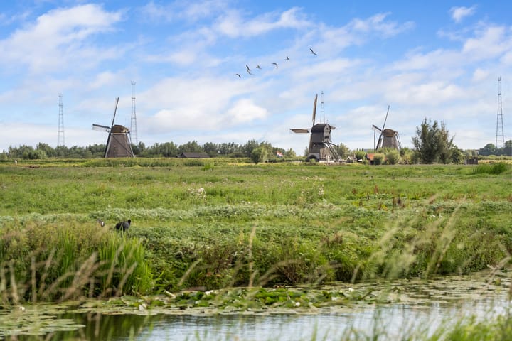 Foto 38 van Rietgors 33