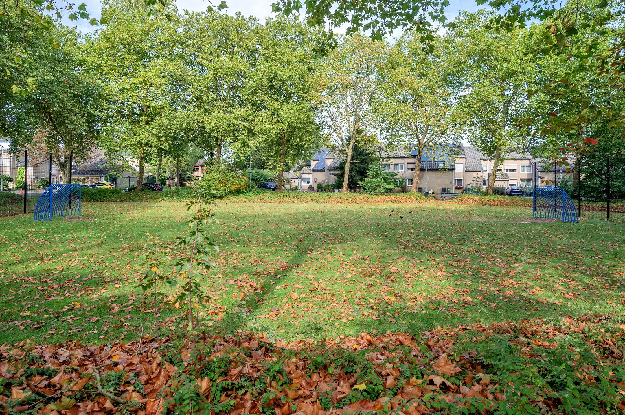 Foto 42 van Dickenslaan 81