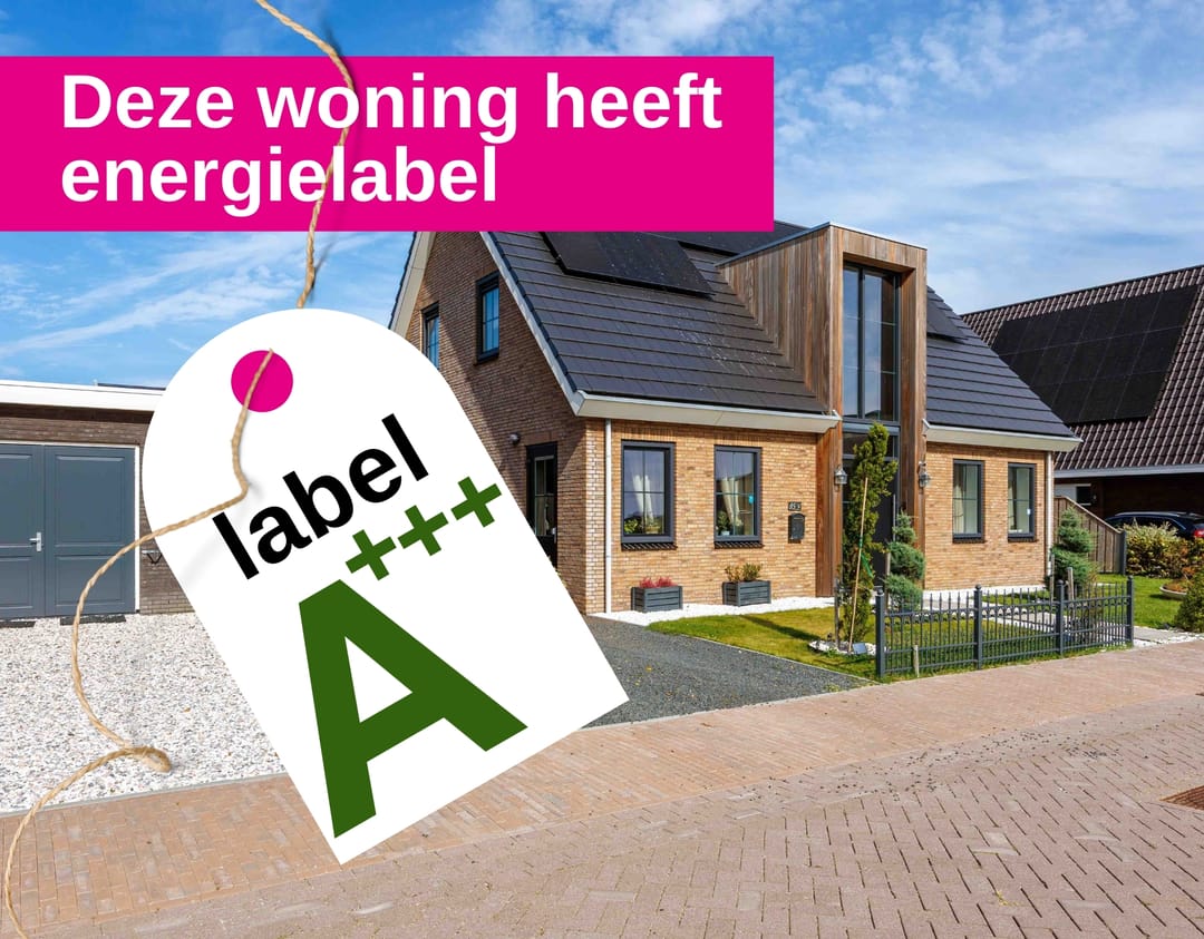 Foto 97 van Westmeep 85