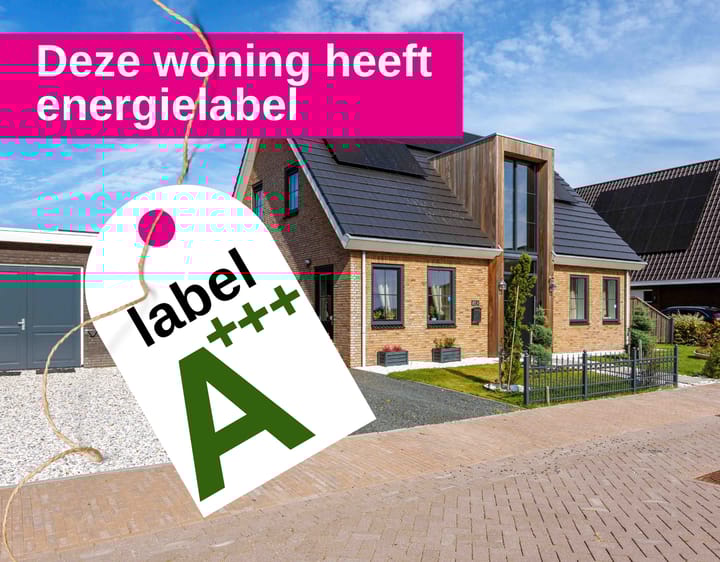 Foto 97 van Westmeep 85